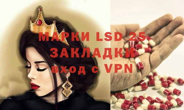 PSILOCYBIN Белокуриха